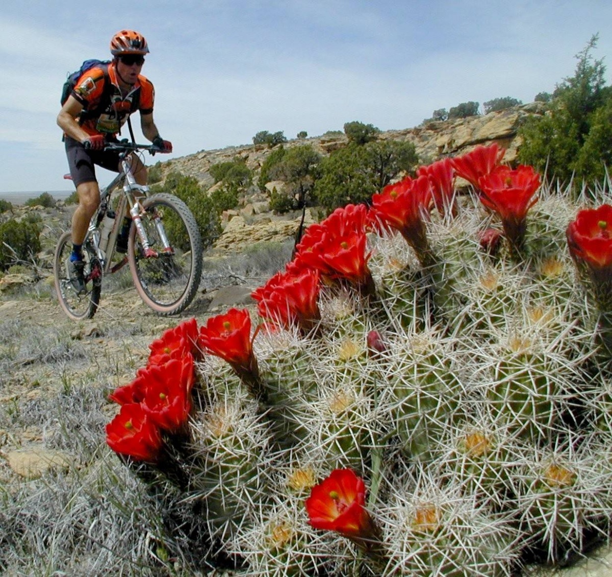 A mountain biker treks the McGinnis Canyon NCA trails in Colorado. Photo by Bob Wick, BLM.