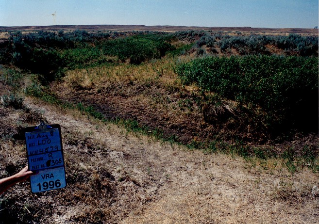 Larb Creek 1996