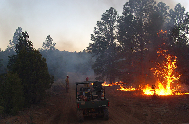 Fire managers monitor the Mertz Ranch Prescribed Fire, a broadcast burn in the Rio Puerco Field Office.