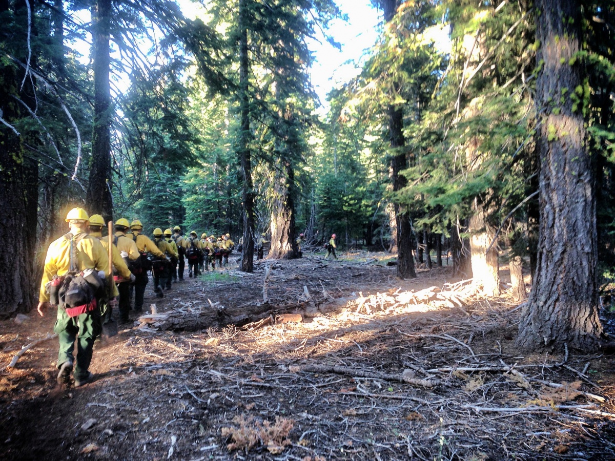 Firefighter in the field. BLM photo