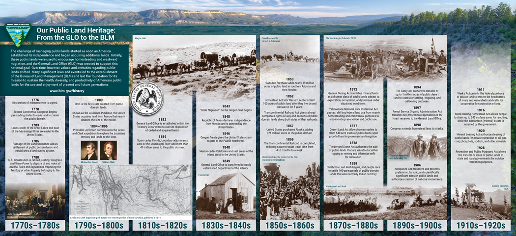 BLM visual timeline cover