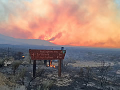 Smoke and flames from a wildfire burn high in the sky near the Fort Sage Off-Highway Vehilce Area.  Photo by Pat Farris, BLM. 