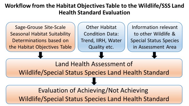 Workflow from the Habitat Objectives Table to the Wildlife/SSS Land Health Standard Evaluation. Sage grouse site scale seasonal habitat suitability, other habitat conditions data, and information relevant to other species in the assessment area informs the land health assessment of wildlife/special status species land health standard which feeds into the evaluation of achieving/not achieving wildlife/special status species land health standard