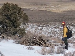 Piles of brush waiting to be burned in a snow field. Photo by Troy Maguire/BLM.