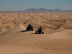 Two four-wheelers crawl across desert dunes. Photo by Jim Shepard.