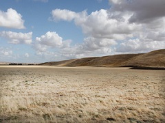 A photo&nbsp;of the Panoche Hills managed by the BLM Central Coast Field Office (Michael Westphal/BLM).