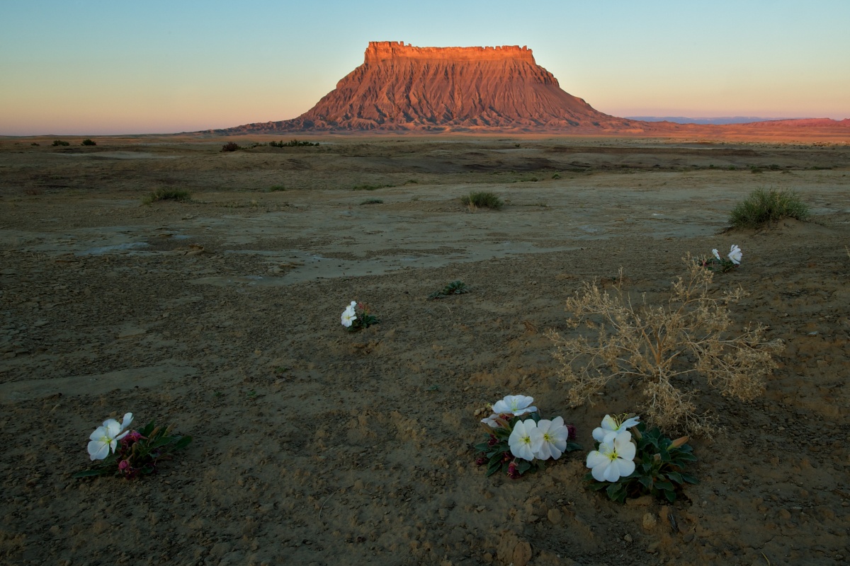 Scenic photo of Factory Butte at sunset.