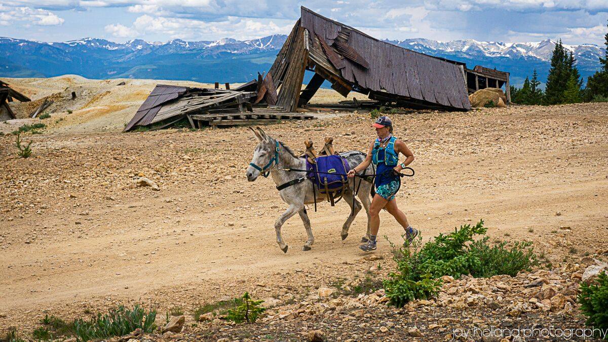 A burro running with a person on a lead.