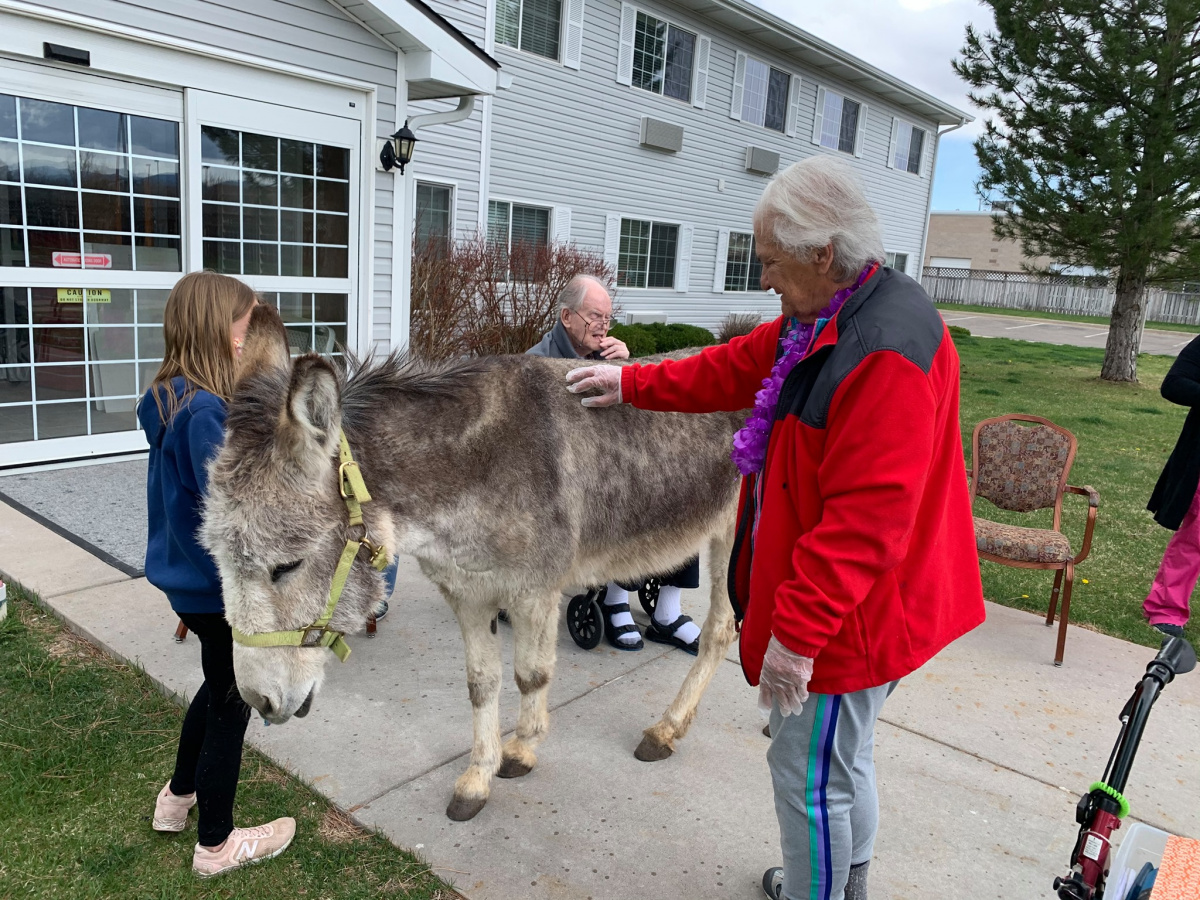 A burro standing in front of a house getting pet by people.