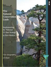 The cover of the New Mexico 15-year Step-down Strategy.