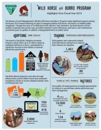 Infographic summarizing the BLM's Wild Horse and Burro Program achievements in 2019, highlighting adoptions, training, and off-range pastures.