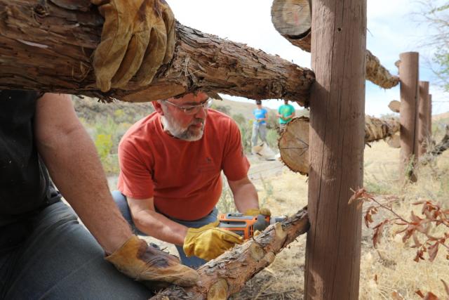 Man in orange shirt using a power tool to secure rough wooden logs on a fence outdoors.