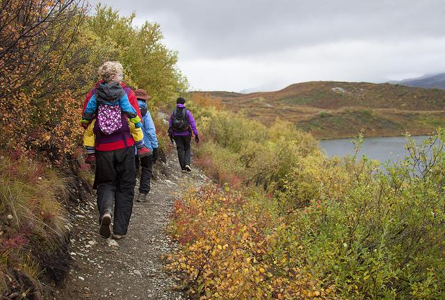 A group of hikers walks single file along a narrow dirt trail through an autumn landscape. They wear backpacks and colorful jackets in red, blue, and purple; the lead hiker carries a child in a pink backpack carrier. The trail is lined with shrubs in fall colors of yellow, orange, and red, with a lake and rolling hills visible under an overcast sky in the background.