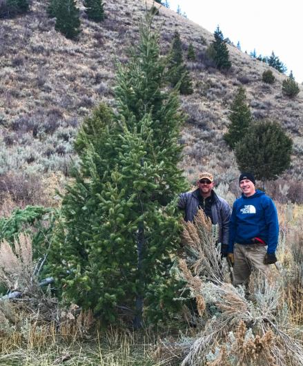 Idaho_ChristmasTreeHunt (2)
