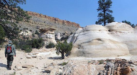 A solitary hiker in the Ojito Wilderness. 