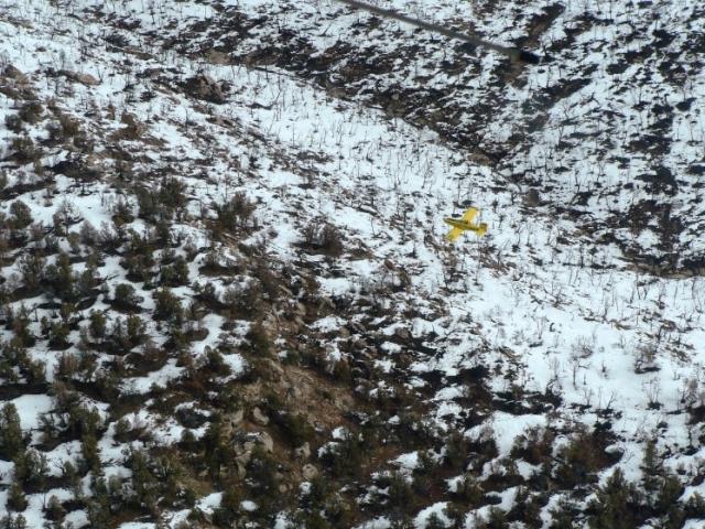 Olathe Spray Service aircraft distributes seed on the Bull Draw fire burn area
