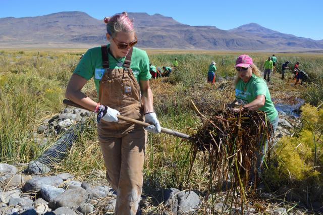Volunteers wearing green shirts and gloves with mountains in the background.