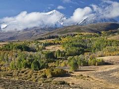 Aspen grove with mountains in the background. Photo by Bob Wick, BLM.