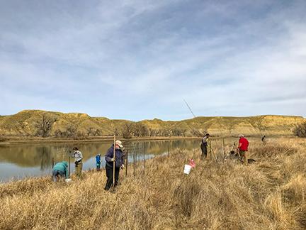 Volunteers planting cottonwood trees along the Missouri River