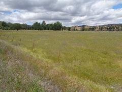 Green field under cloudy sky. Ryan O'Dell/BLM