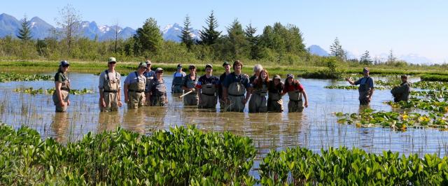 Group shot of Stewards standing in a pond filled with lily pads and tall grasses.
