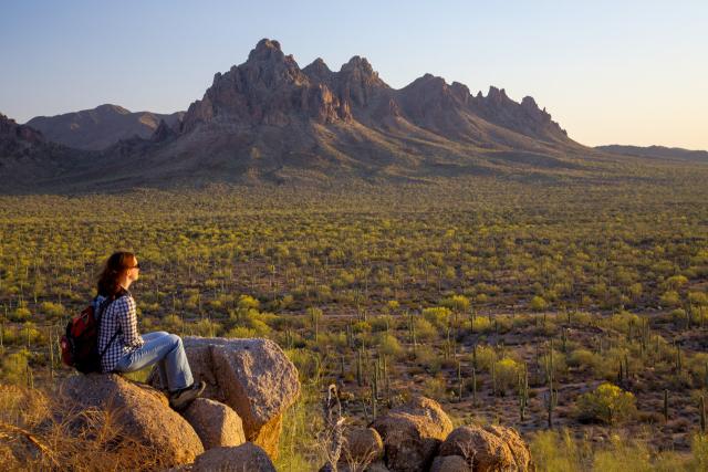 A woman views a desert landscape in the Ironwood National Forest.