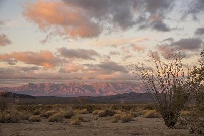 Sunset in the desert.