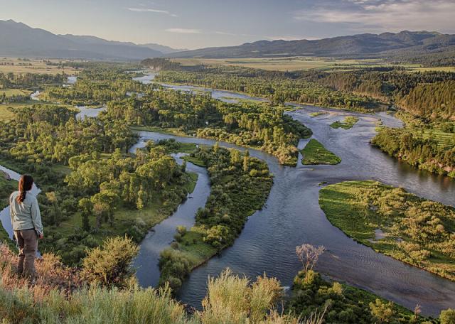 Woman overlooks scenic Soth Fork of the Snake River in Idaho river with its braids running through a and green treed landscape