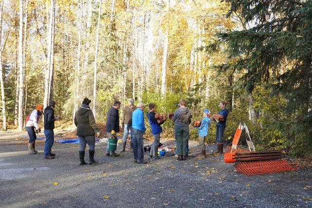 A group of volunteers contribute to an Eagle Scout project during the 2018 National Public Lands Day event that provided trail maintenance on the Salmon Run Trail on the Campbell Tract in Anchorage.