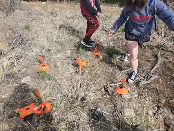 Two students are walking around orange cones that are in the grass. 