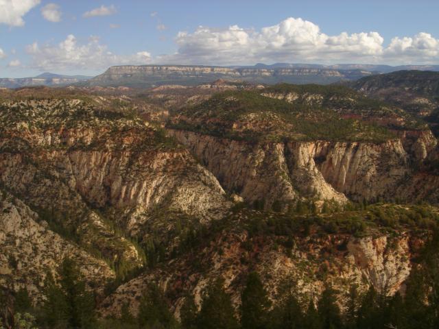 Orderville Canyon, Kanab Field Office