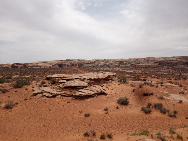 Bowknot oil and gas lease area.