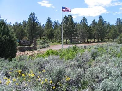 Camp ground in a pine forest with a flag