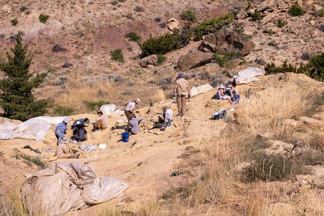 Photo of several people digging on a rocky slope.