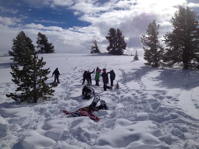 Alt Text: A photo showing several people snowshoeing and playing on a snow-covered hill dotted with juniper trees.