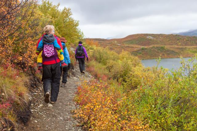 A group of people hike on a gravel trail surrounded by fall foliage.