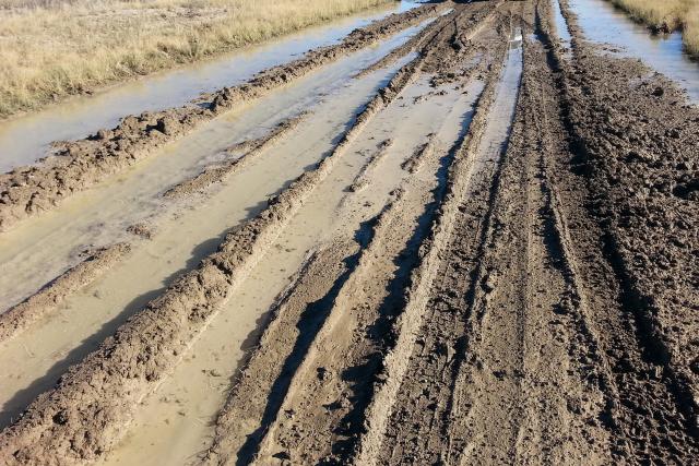 A dirt road is filled with muddy ruts and standing water.