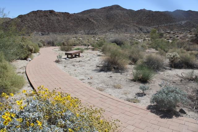 Photo shows a brick pathway heading into a sandy desert landscape with desert marigold in the foreground, a wooden bench in the midground, and shrub-dotted rocky hills in the background.