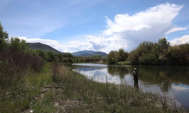 A photo showing a person standing in a river, near the bank, fishing. Riparian reeds and grasses line the nearby shore, while vegetation across the river and downstream are shrubs and trees. White clouds fill much of the sky and green and blue hills can be seen in the distance. 