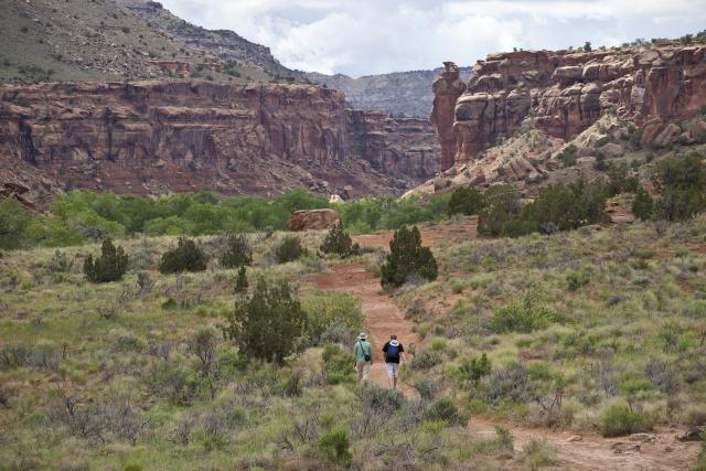 A photo showing red sandstone cliffs in the distance. Two people are walking toward the cliffs on an improved dirt pathway that cuts through a landscape dotted with dark green cedar trees and lighter green grass and shrubs. 