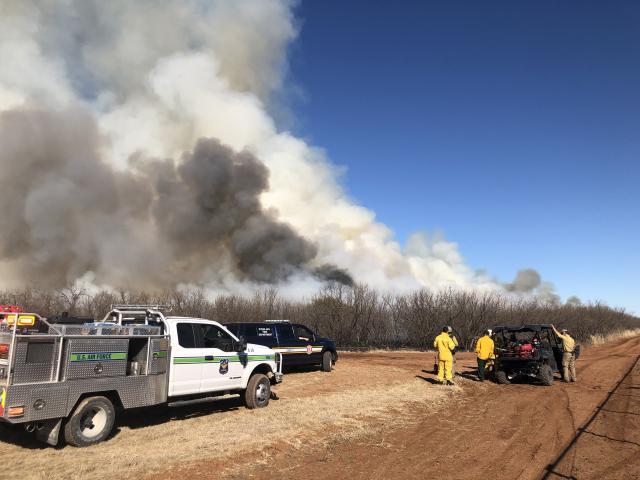 Trucks with different logos and people in yellow clothing stand on a dirt road next to trees with smoke billowing out of them