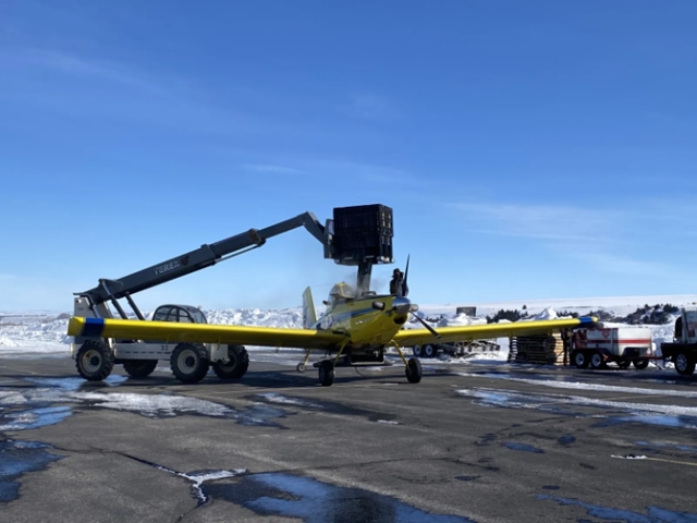 a yellow plane sitting on a runway under a blue sky being loaded with sagebrush seedlings