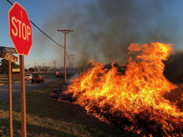 A bright orange flame front on the edge of an active roadway