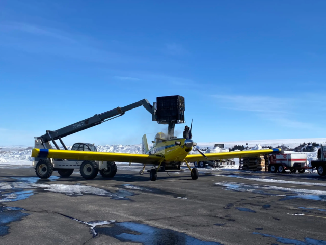 A yellow airplane on tarmac with a snowy backdrop, a large crane holding a box overhead