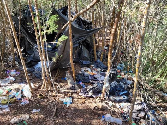 Trash in tall brush