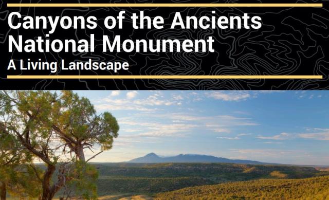 Canyons of the Ancients National Monument A Living Landscape brochure cover with landscape