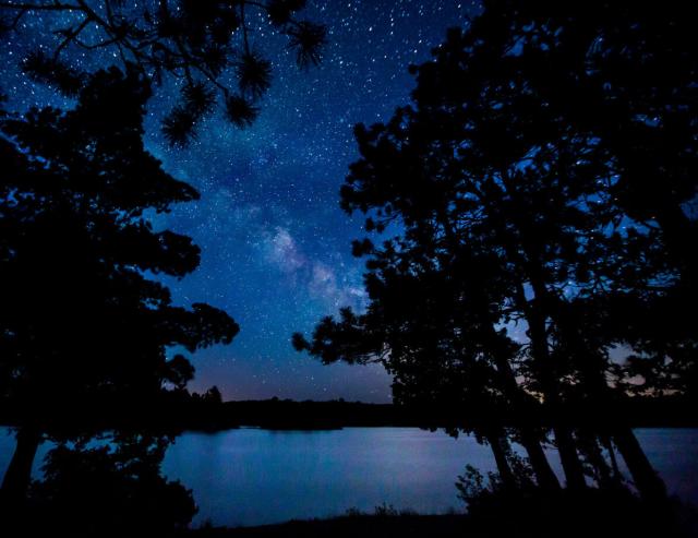 night sky over a lake with trees in the foreground