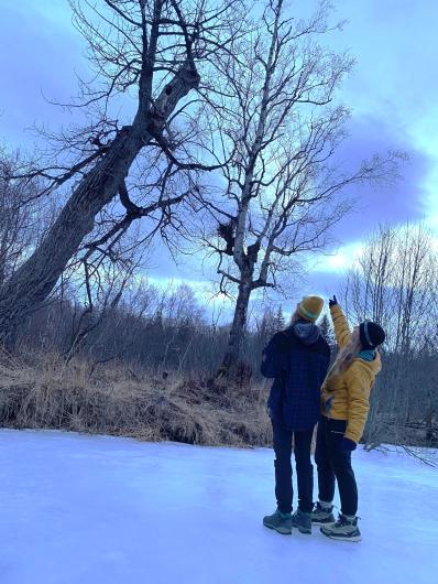 Two woman are looking up at a tall tree with a hole in it as one of them points at it. 