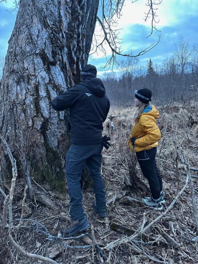 A man is touching the trunk of a tree while a woman looks on. 