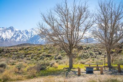 A campsite with a fire ring and picnic table